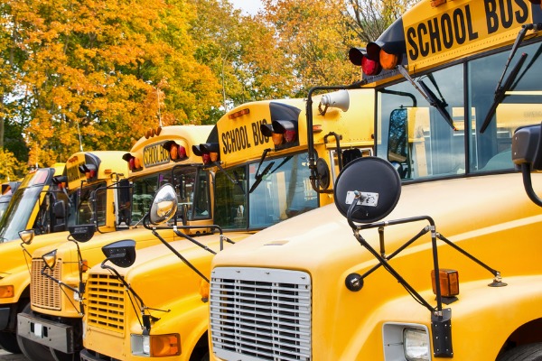 Where Can I Find Greenwood Bus Stops and Routes?